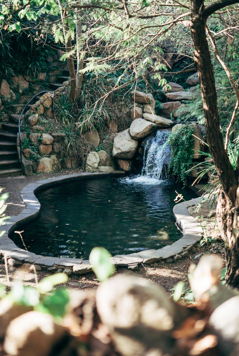 Pool service project